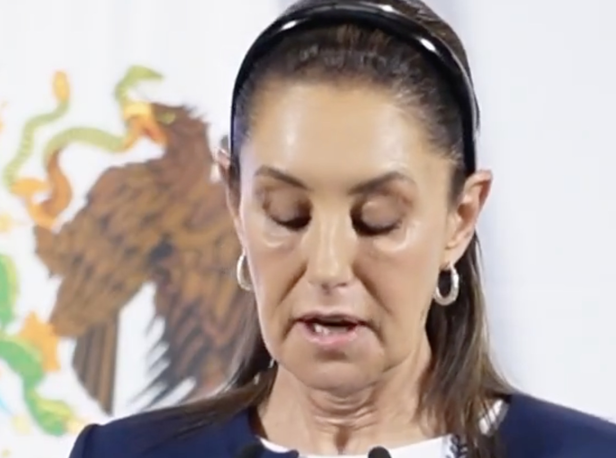 Futura Lyn May del Bienestar